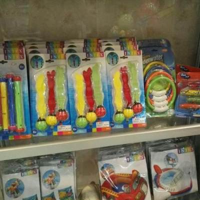 寓教于樂 邯鄲寵物用品如何借游泳教學與專業教具開發寵物智力